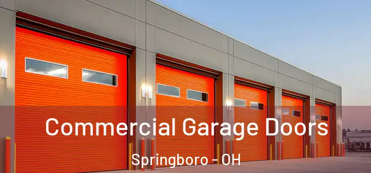  Commercial Garage Doors Springboro - OH