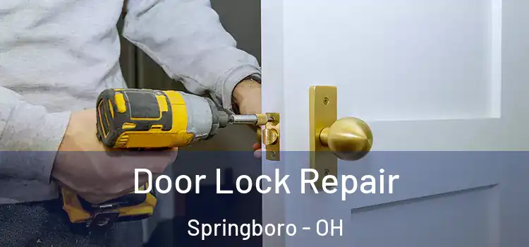 Door Lock Repair Springboro - OH