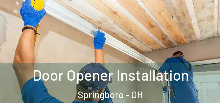 Door Opener Installation Springboro - OH