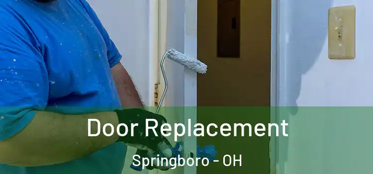  Door Replacement Springboro - OH