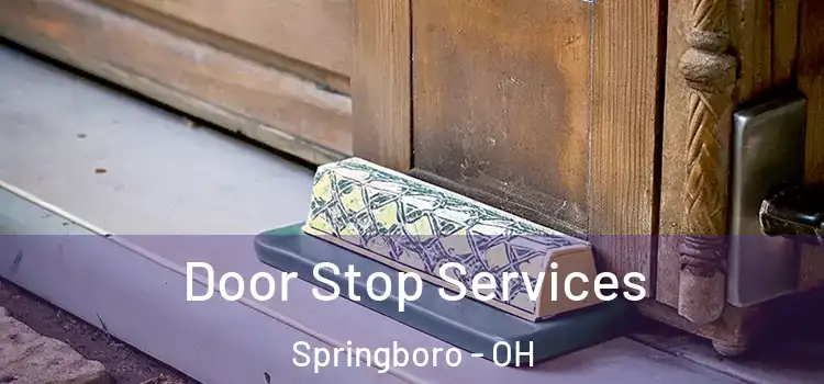 Door Stop Services Springboro - OH