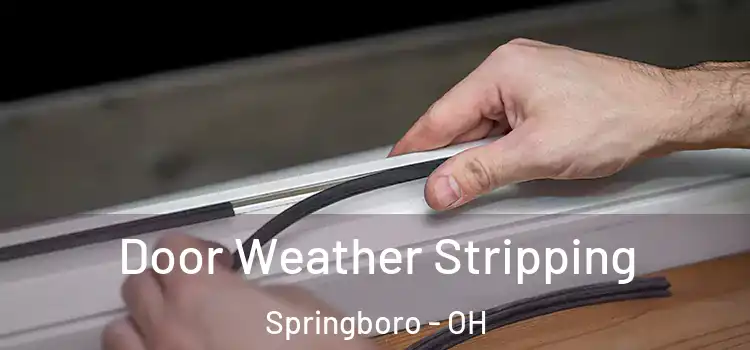  Door Weather Stripping Springboro - OH