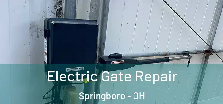  Electric Gate Repair Springboro - OH