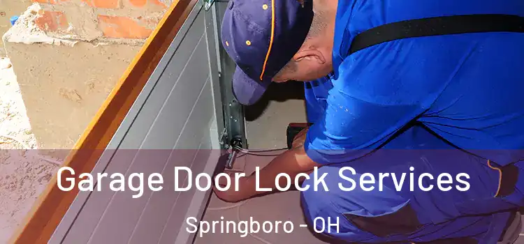  Garage Door Lock Services Springboro - OH