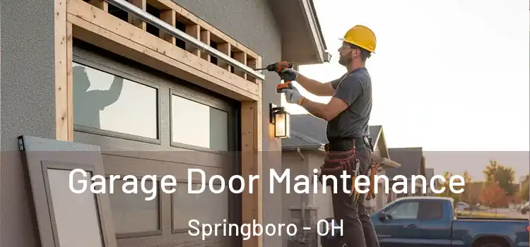Garage Door Maintenance Springboro - OH