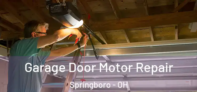  Garage Door Motor Repair Springboro - OH