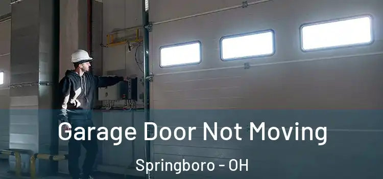  Garage Door Not Moving Springboro - OH