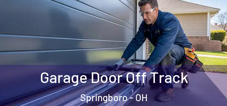  Garage Door Off Track Springboro - OH