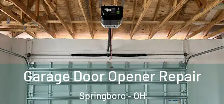  Garage Door Opener Repair Springboro - OH