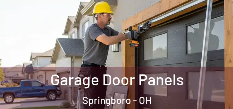  Garage Door Panels Springboro - OH