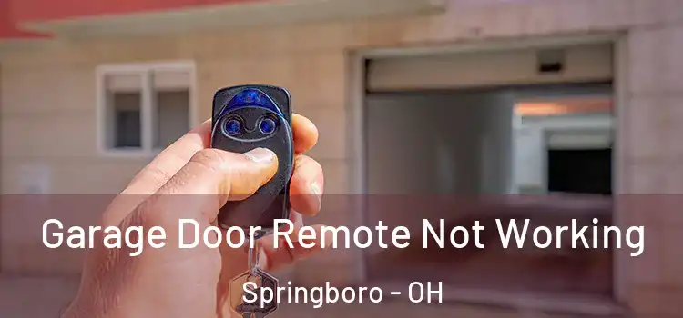  Garage Door Remote Not Working Springboro - OH
