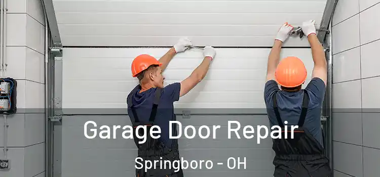  Garage Door Repair Springboro - OH