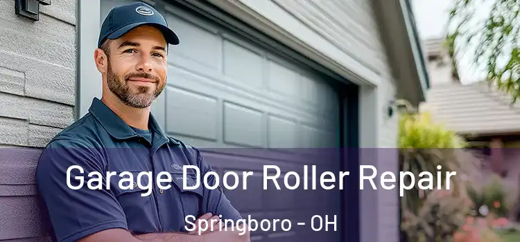  Garage Door Roller Repair Springboro - OH