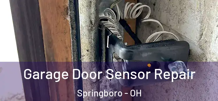  Garage Door Sensor Repair Springboro - OH