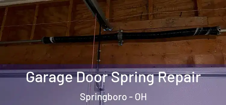  Garage Door Spring Repair Springboro - OH