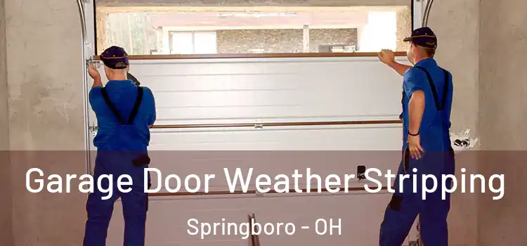  Garage Door Weather Stripping Springboro - OH