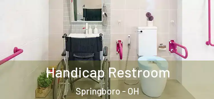 Handicap Restroom Springboro - OH