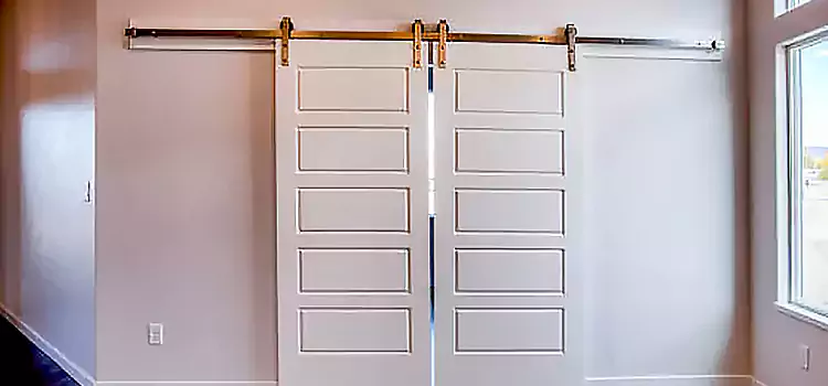 Glass Barn Door with Installation Hardware Kit Springboro