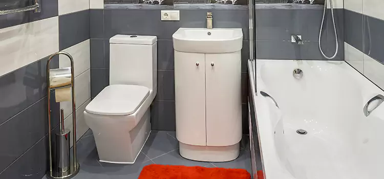 Hansgrohe Shaving Mirror Springboro
