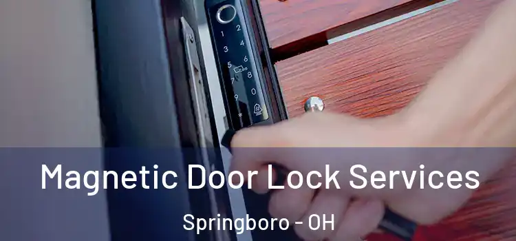 Magnetic Door Lock Services Springboro - OH