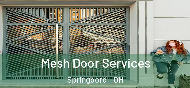  Mesh Door Services Springboro - OH