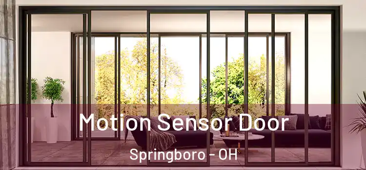 Motion Sensor Door Springboro - OH