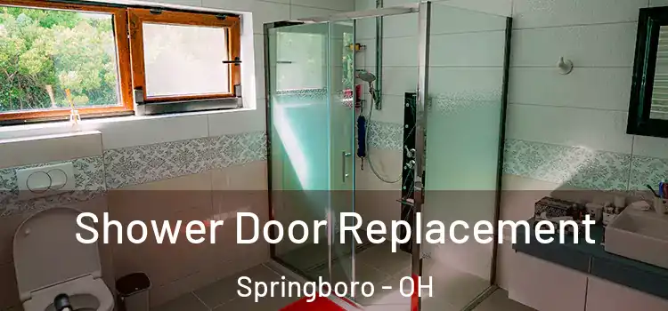 Shower Door Replacement Springboro - OH