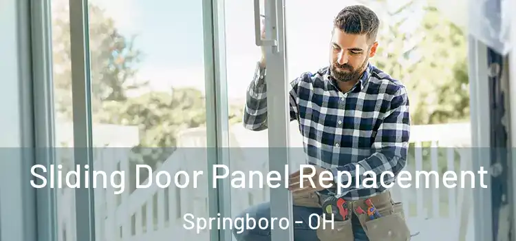  Sliding Door Panel Replacement Springboro - OH