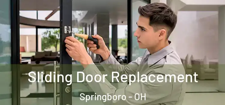  Sliding Door Replacement Springboro - OH