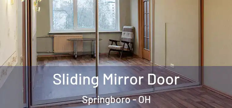  Sliding Mirror Door Springboro - OH