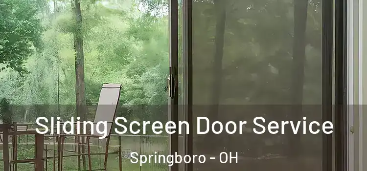  Sliding Screen Door Service Springboro - OH
