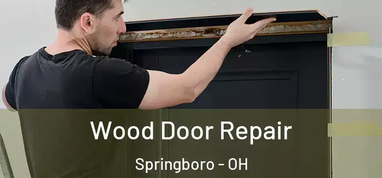 Wood Door Repair Springboro - OH